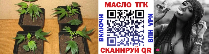 Дистиллят ТГК концентрат  купить наркотики сайты  Гурьевск 